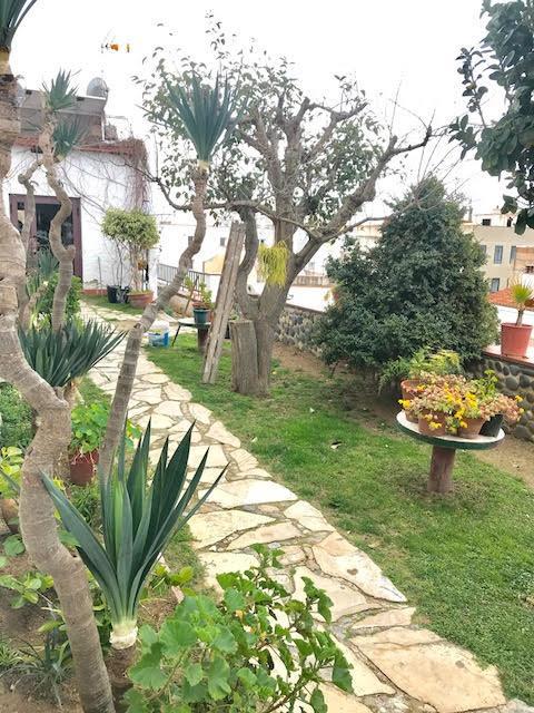 Hostal Casa Torrent كانيه دي مار المظهر الخارجي الصورة